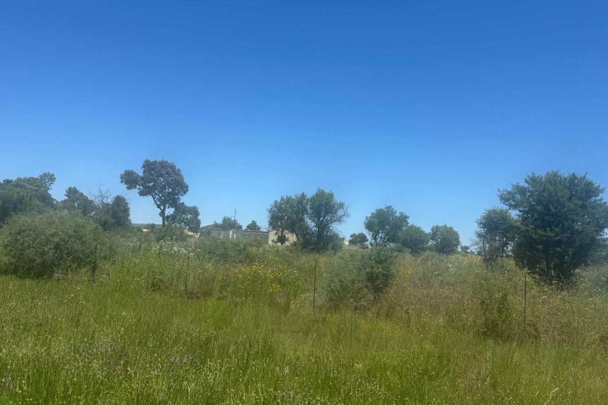 A view of a vacant residential plot featuring natural vegetation, mature trees, and perimeter fencing under a clear blue sky.