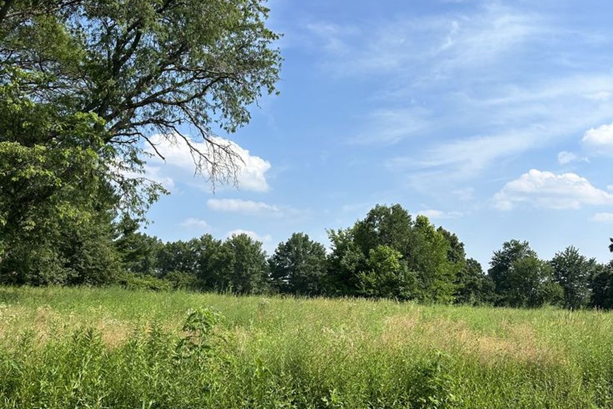 A view of a vacant residential lot featuring open grassland and mature trees under a clear blue sky.