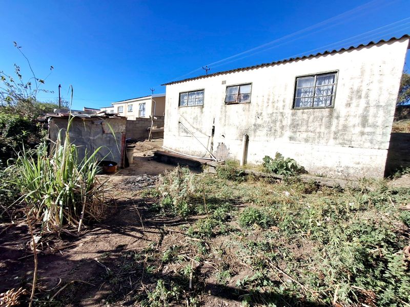 Rear view of the property showing the exterior wall, windows, and surrounding unmaintained garden area.