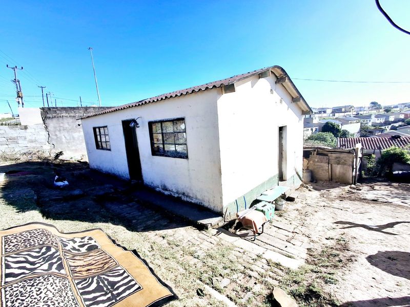 Rear view of a detached residential structure featuring a corrugated metal roof and steel-framed windows, set on an unlandscaped plot.