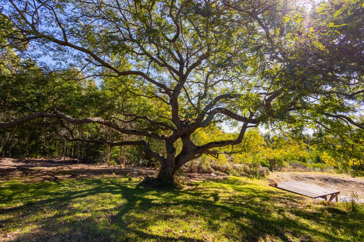 Country Setting for Home & Business Lifestyle  - Photo 2