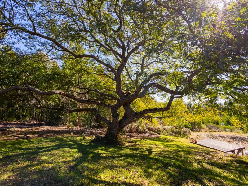 Country Setting for Home & Business Lifestyle  - Photo 2