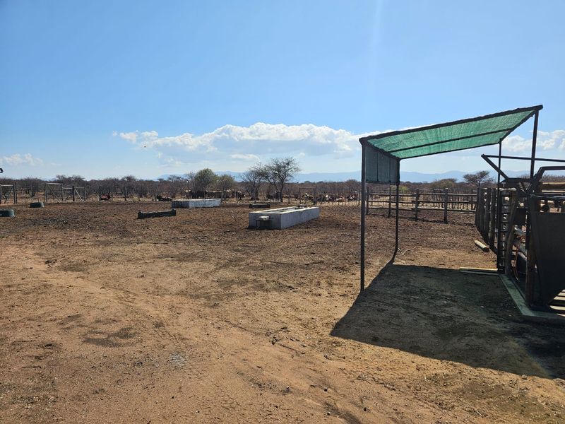 For Sale: 444-Hectare Farm – Louis Trichardt to Airforce Base via Madombidzha Road - Photo 10