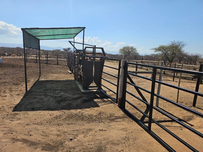 For Sale: 444-Hectare Farm – Louis Trichardt to Airforce Base via Madombidzha Road - Photo 9