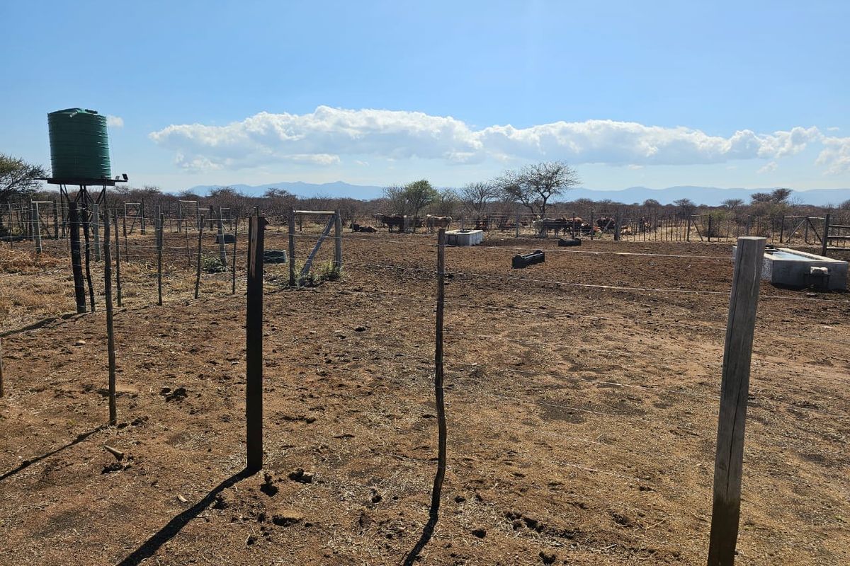 For Sale: 444-Hectare Farm – Louis Trichardt to Airforce Base via Madombidzha Road - Photo 4