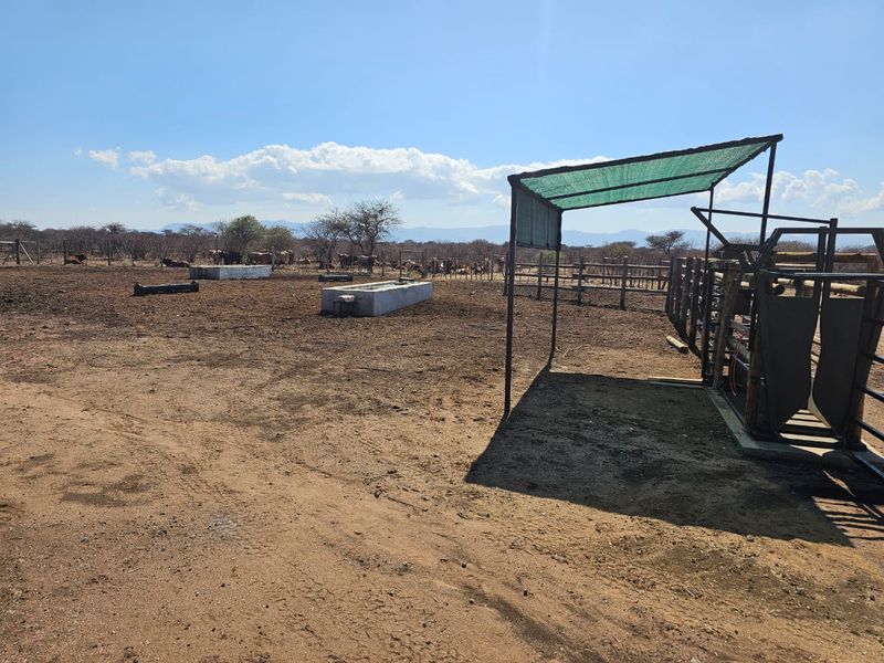 For Sale: 444-Hectare Farm – Louis Trichardt to Airforce Base via Madombidzha Road - Photo 7