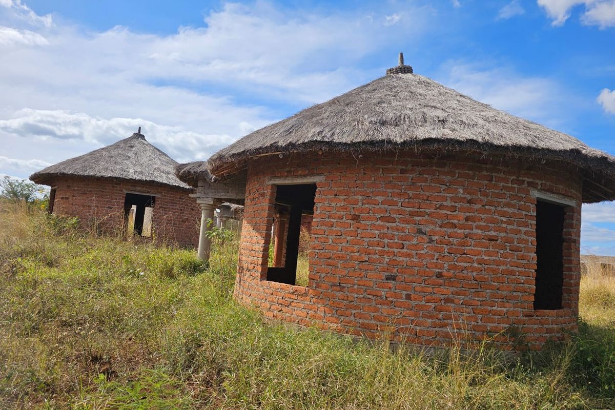 For sale  4000m2 stand in Gondeni - Photo 4