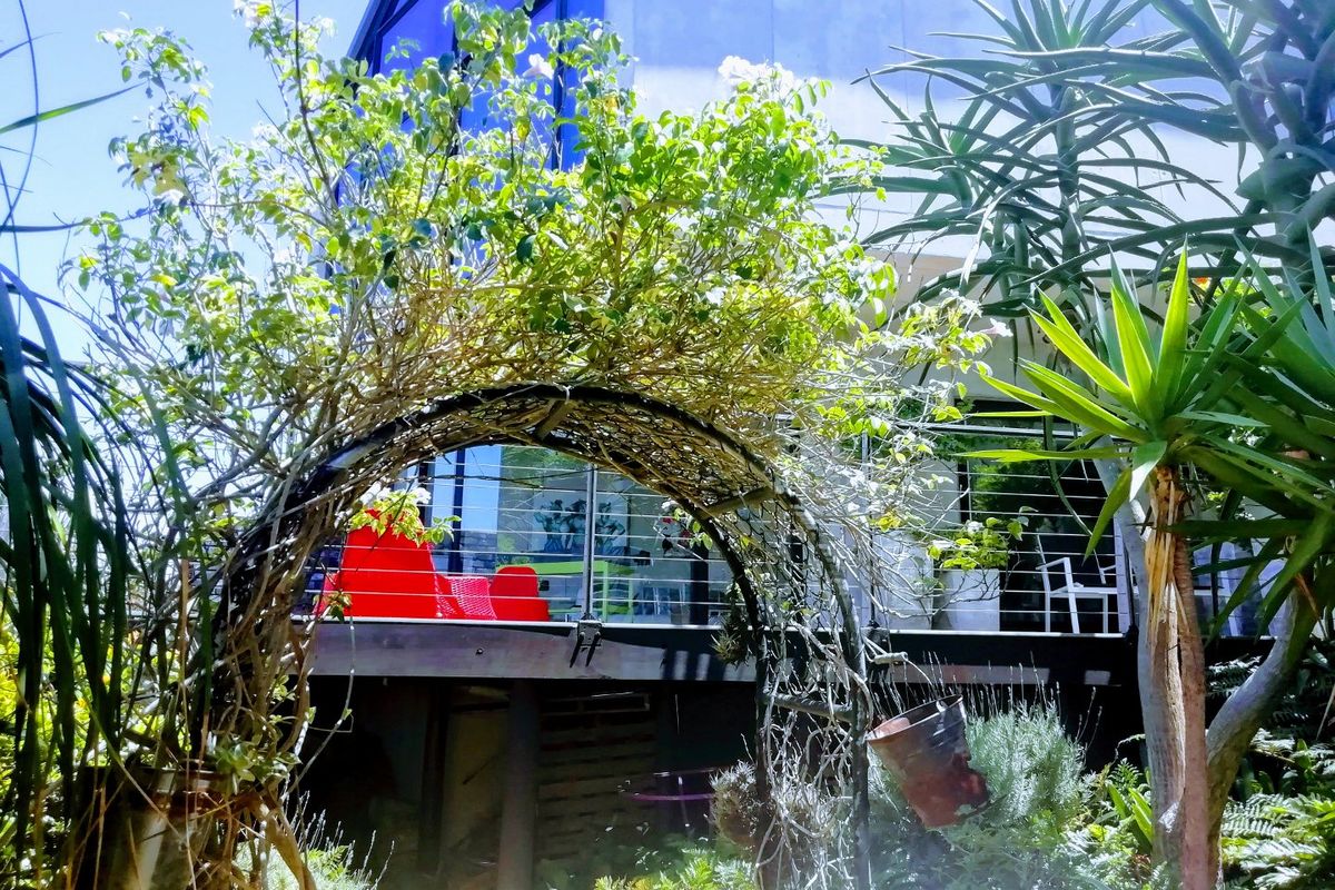 YOU COULD BE ANYWHERE IN THE WORLD!!!!!  PERCHED HIGH UP ON OVERLOOKING THE NATURE RESERVE  - Photo 4