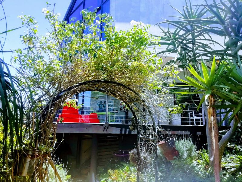 YOU COULD BE ANYWHERE IN THE WORLD!!!!!  PERCHED HIGH UP ON OVERLOOKING THE NATURE RESERVE  - Photo 4