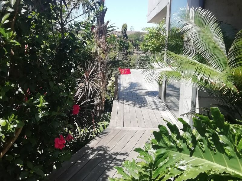 YOU COULD BE ANYWHERE IN THE WORLD!!!!!  PERCHED HIGH UP ON OVERLOOKING THE NATURE RESERVE  - Photo 6