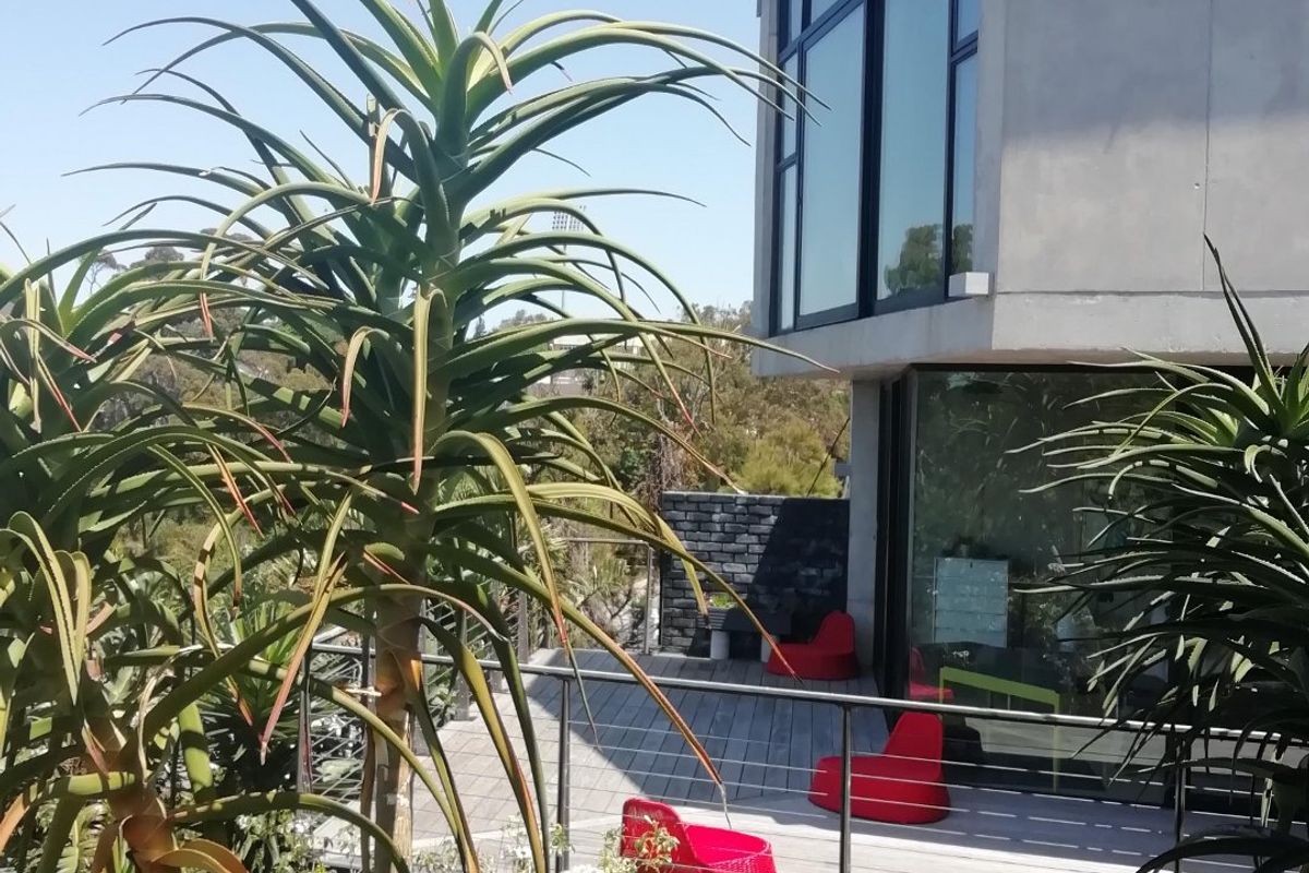 YOU COULD BE ANYWHERE IN THE WORLD!!!!!  PERCHED HIGH UP ON OVERLOOKING THE NATURE RESERVE  - Photo 3