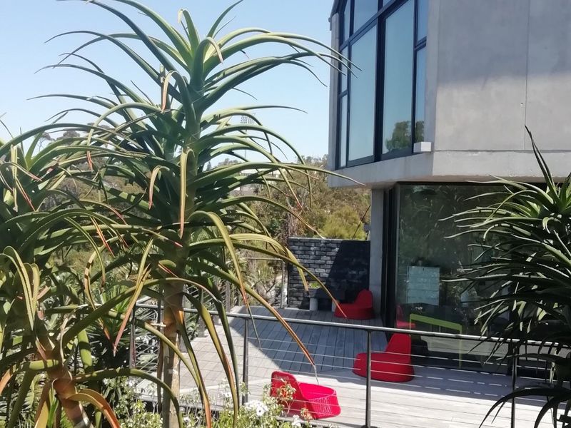 YOU COULD BE ANYWHERE IN THE WORLD!!!!!  PERCHED HIGH UP ON OVERLOOKING THE NATURE RESERVE  - Photo 3