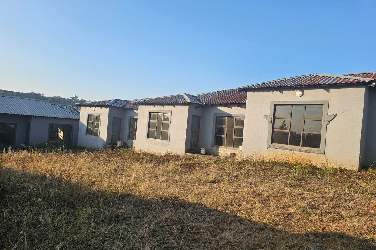 Rear view of a single-story farm dwelling featuring plastered masonry walls, corrugated metal roofing, and aluminium window frames set against an overgrown landscape.