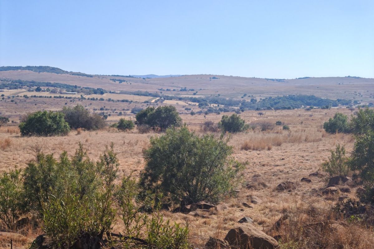 Prime Development Opportunity: Rietfontein farm for sale. - Photo 2