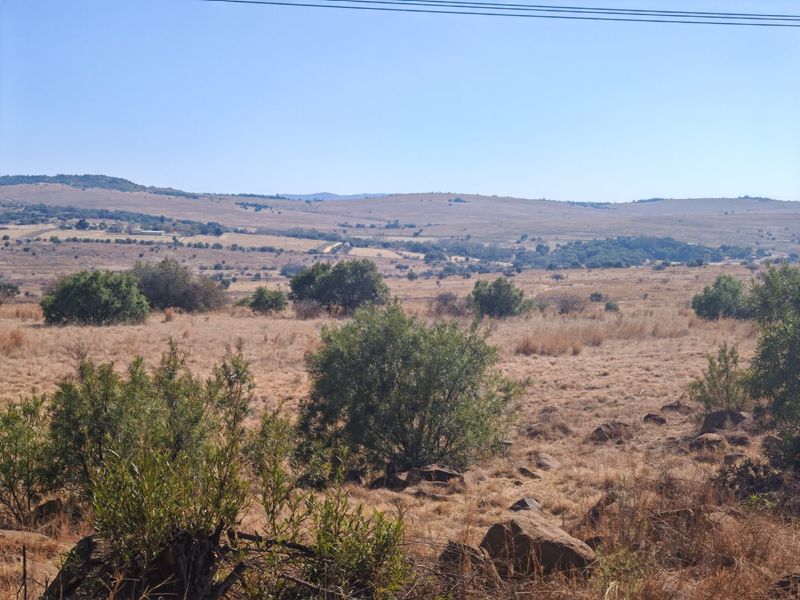 Prime Development Opportunity: Rietfontein farm for sale. - Photo 2