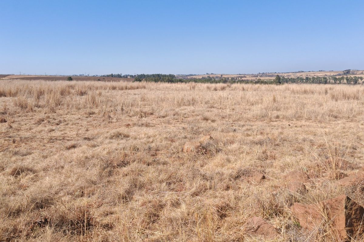 Prime Development Opportunity: Rietfontein farm for sale. - Photo 4