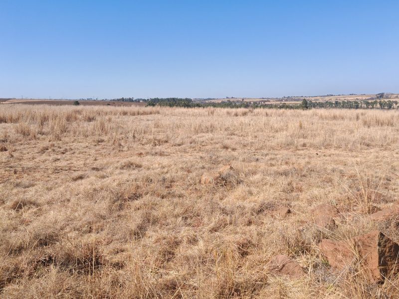 Prime Development Opportunity: Rietfontein farm for sale. - Photo 4