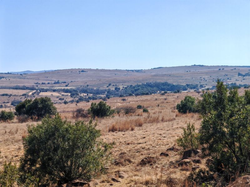 Prime Development Opportunity: Rietfontein farm for sale. - Photo 3