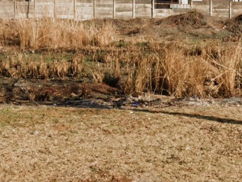 Vacant Land For Sale In Meyerville - Photo 3