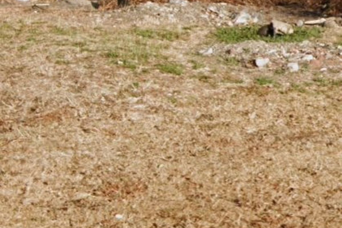 Vacant Land For Sale In Meyerville - Photo 2