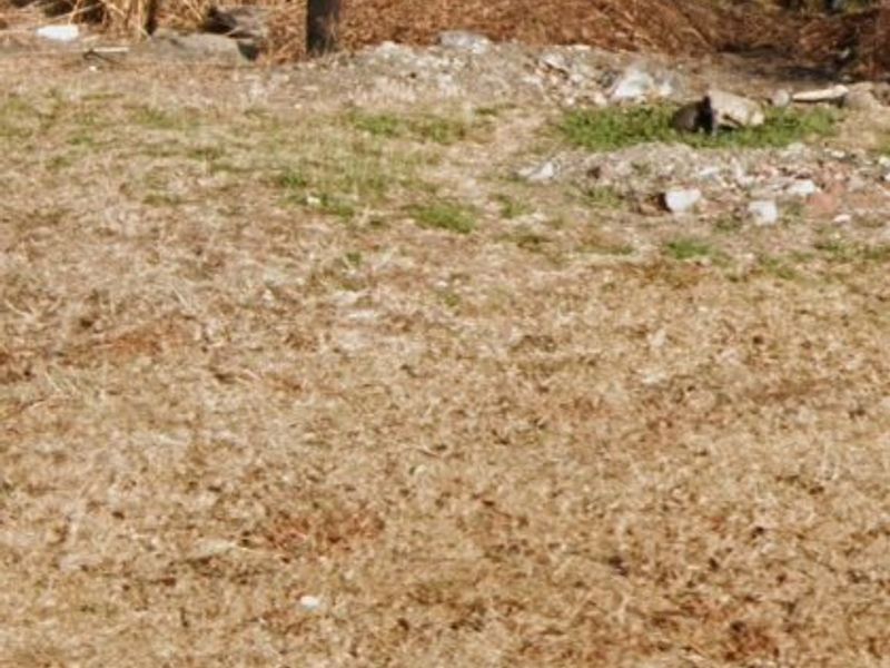 Vacant Land For Sale In Meyerville - Photo 2