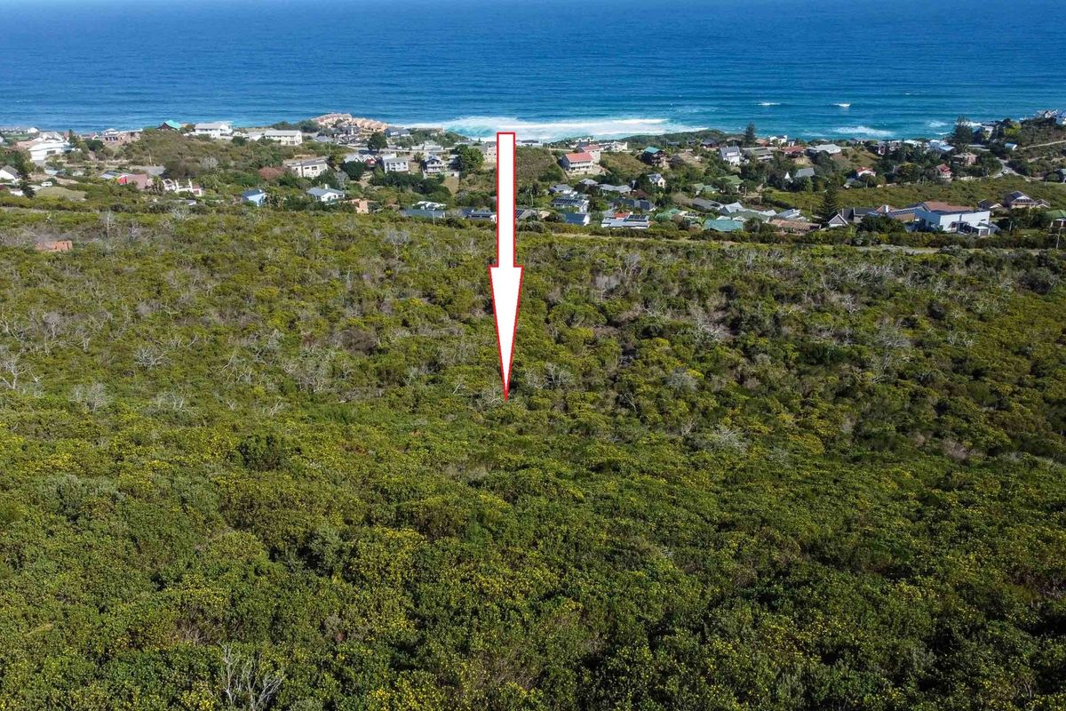 Once-in-a-Lifetime Opportunity – 8.5 Hectare Gentleman’s Farm in Brenton-on-Sea, Knysna - Photo 5