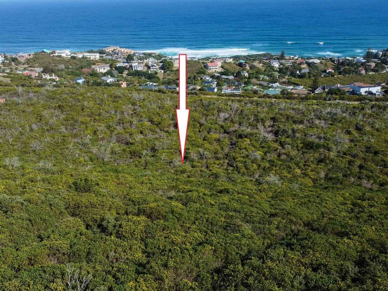 Once-in-a-Lifetime Opportunity – 8.5 Hectare Gentleman’s Farm in Brenton-on-Sea, Knysna - Photo 5