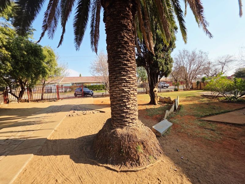 3 Bedroom House with a Flat For Sale in Songloed - Photo 10