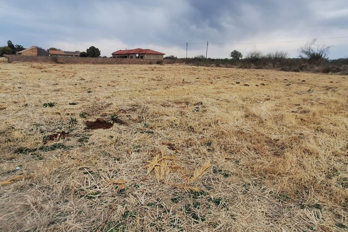 A wide-angle view of a vacant residential plot featuring dry grass and a boundary wall in a suburban setting.