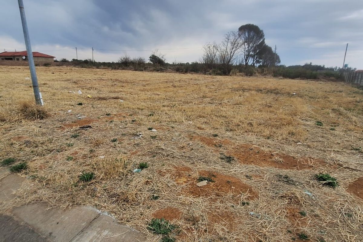 A vacant residential plot featuring dry grass, a concrete boundary wall, and a street light pole, offering a clear space for future development.