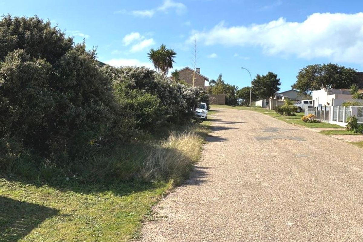 A view of a gravel residential street with established verge vegetation and surrounding neighborhood properties.