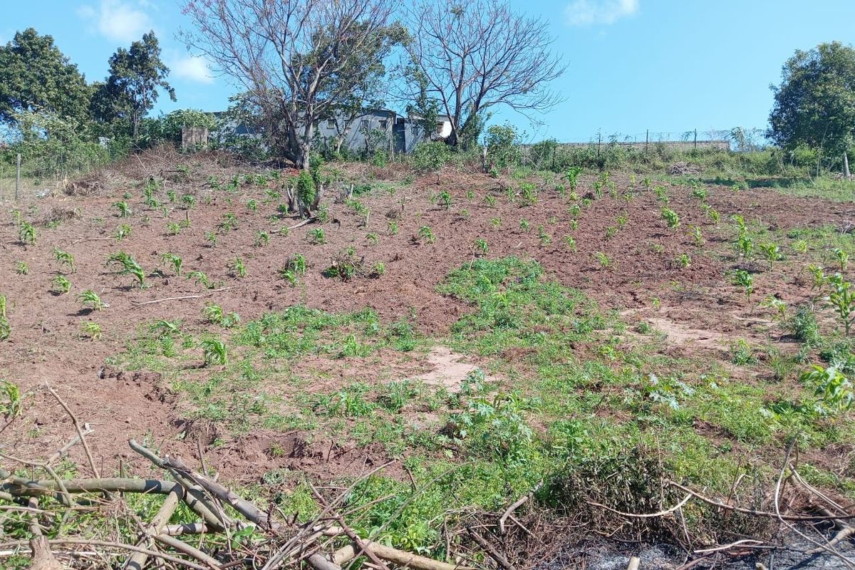 0 Bed Vacant Land in Ongoye, Empangeni Rural for Sale - Photo 4