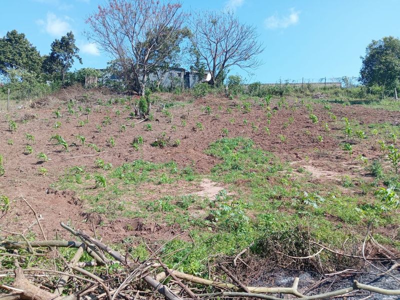 0 Bed Vacant Land in Ongoye, Empangeni Rural for Sale - Photo 4