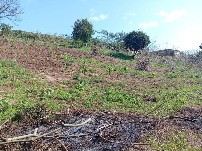 0 Bed Vacant Land in Ongoye, Empangeni Rural for Sale - Photo 8
