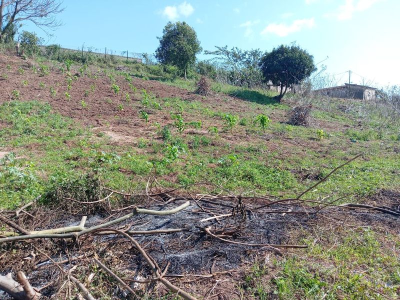 0 Bed Vacant Land in Ongoye, Empangeni Rural for Sale - Photo 7