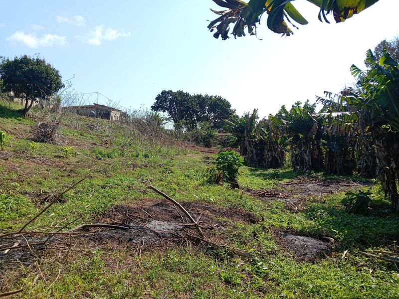 0 Bed Vacant Land in Ongoye, Empangeni Rural for Sale - Photo 6