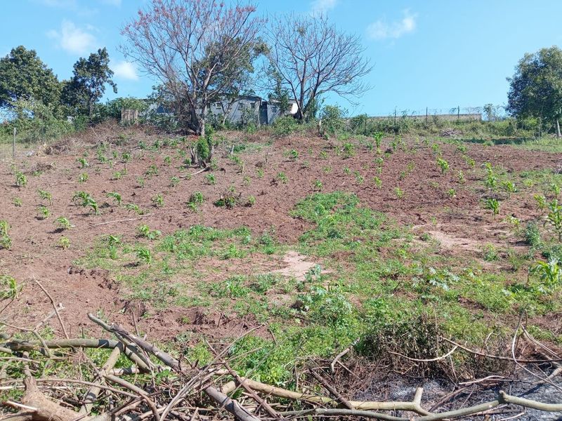 0 Bed Vacant Land in Ongoye, Empangeni Rural for Sale - Photo 5