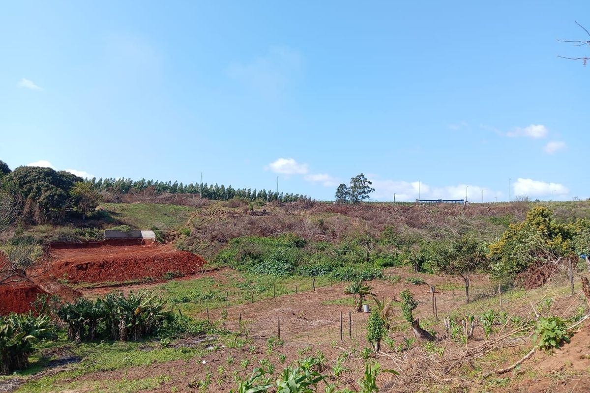 0 Bed Vacant Land in Ongoye, Empangeni Rural for Sale - Photo 3