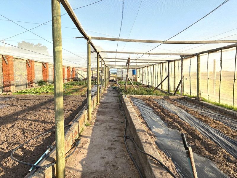 Farm for Sale Humandorp - Photo 8