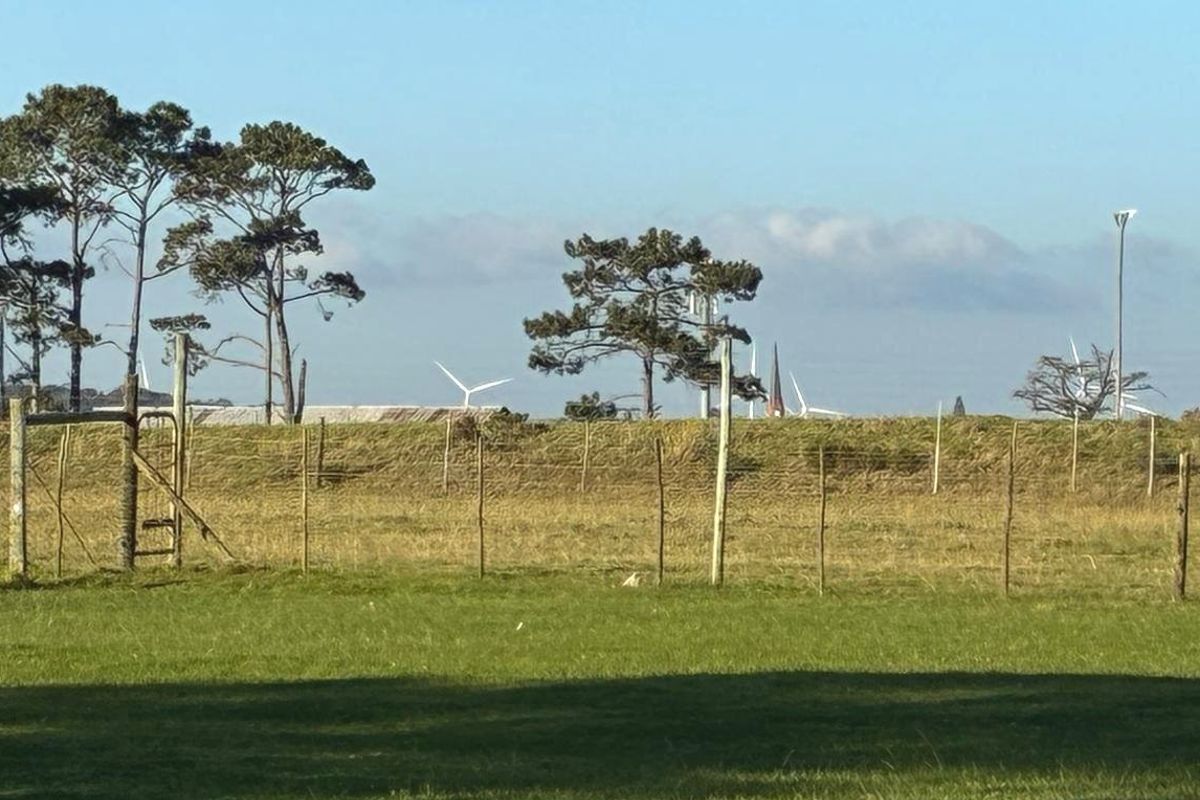 Farm for Sale Humandorp - Photo 5