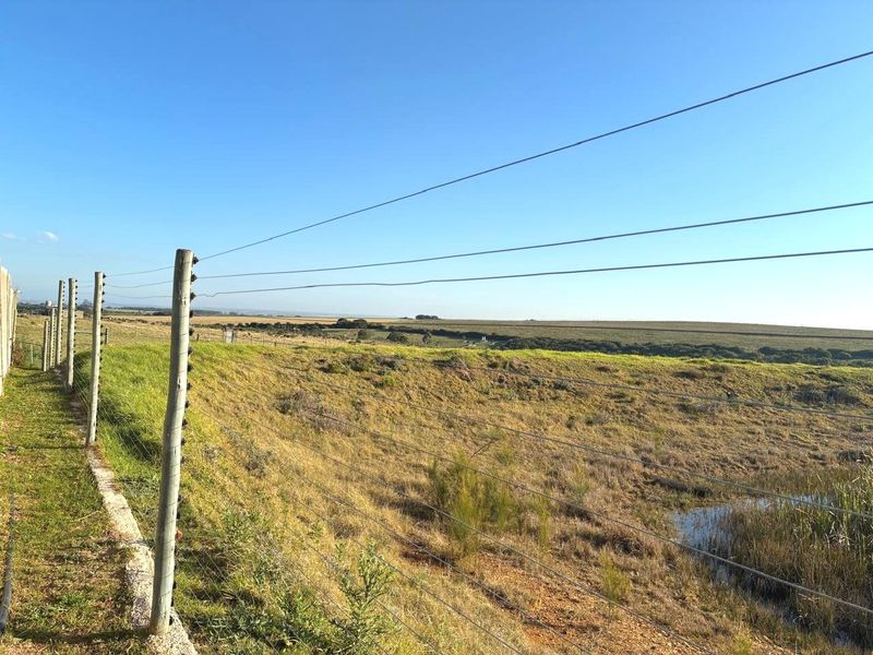 Farm for Sale Humandorp - Photo 7