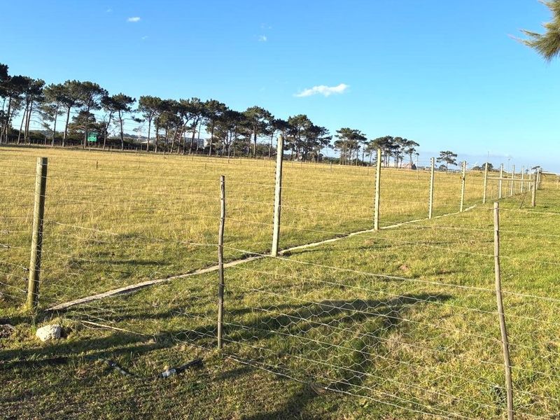 Farm for Sale Humandorp - Photo 6