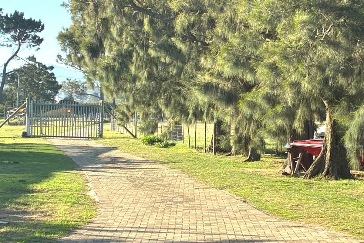 Farm for Sale Humandorp - Photo 4