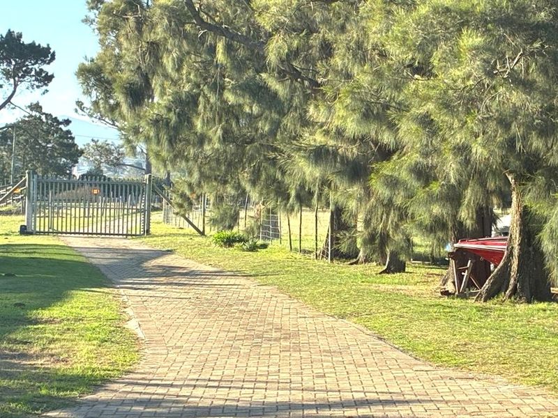 Farm for Sale Humandorp - Photo 4