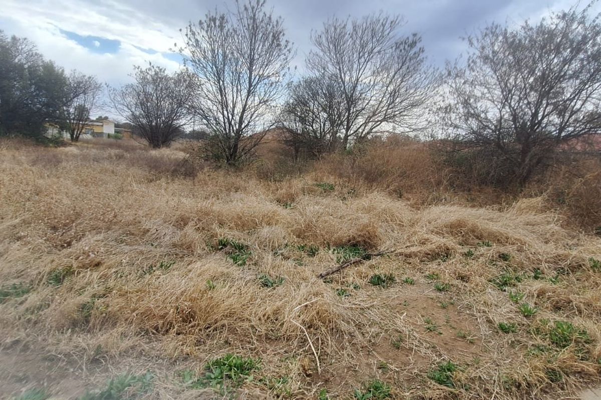 A vacant residential plot featuring overgrown grass and established trees, enclosed by a boundary wall.