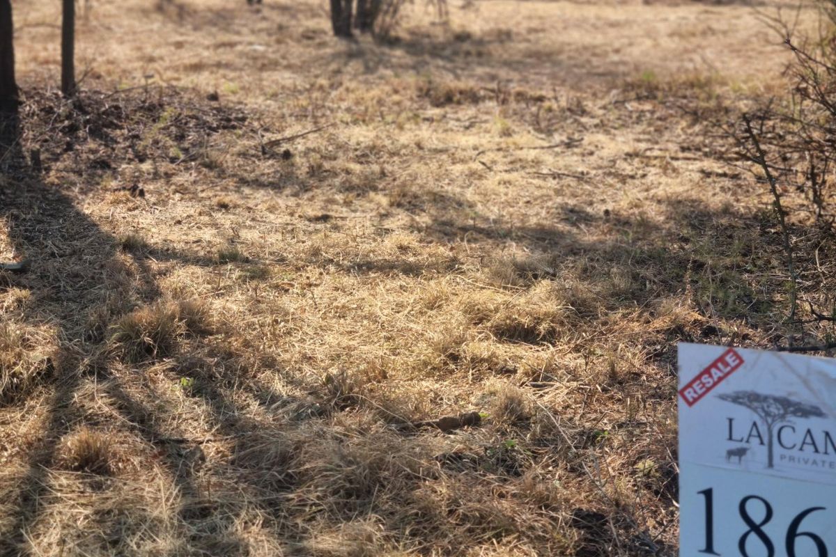 MOST BEAUTIFUL STAND IN LA CAMARGUE PRIVATE COUNTRY ESTATE!! - Photo 2