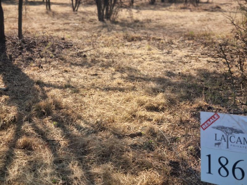 MOST BEAUTIFUL STAND IN LA CAMARGUE PRIVATE COUNTRY ESTATE!! - Photo 2