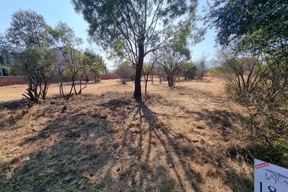 MOST BEAUTIFUL STAND IN LA CAMARGUE PRIVATE COUNTRY ESTATE!! - Photo 3