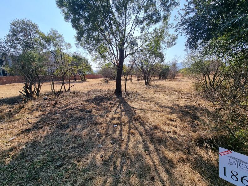 MOST BEAUTIFUL STAND IN LA CAMARGUE PRIVATE COUNTRY ESTATE!! - Photo 3