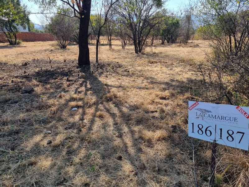 MOST BEAUTIFUL STAND IN LA CAMARGUE PRIVATE COUNTRY ESTATE!! - Photo 7